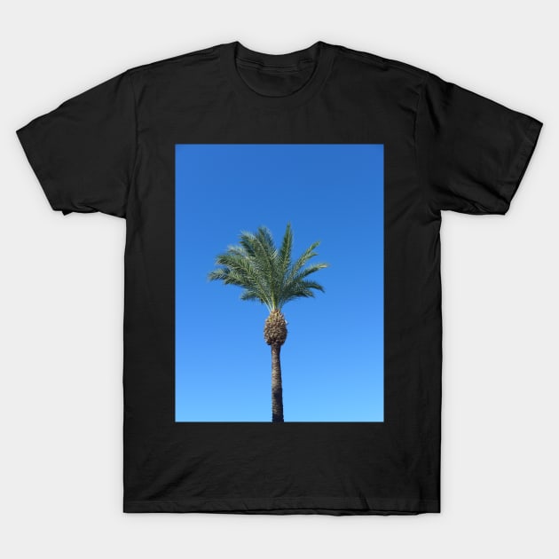 Single Palm Tree with Blue Sky2 T-Shirt by Sandraartist